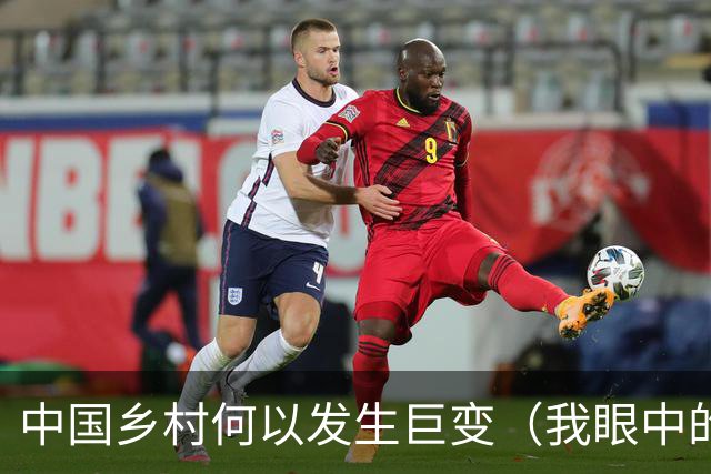 中国乡村何以发生巨变（我眼中的中国）