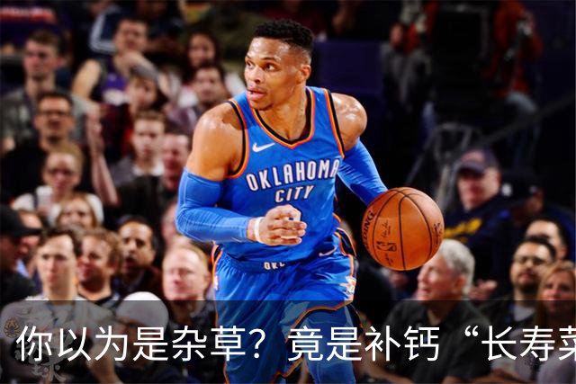 你以为是杂草？竟是补钙“长寿菜”！清湿热、补钙质，可惜很多人当草扔了