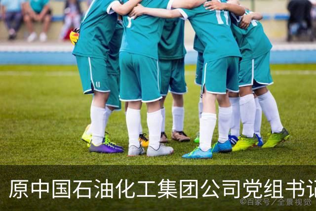 原中国石油化工集团公司党组书记、董事长傅成玉接受审查调查