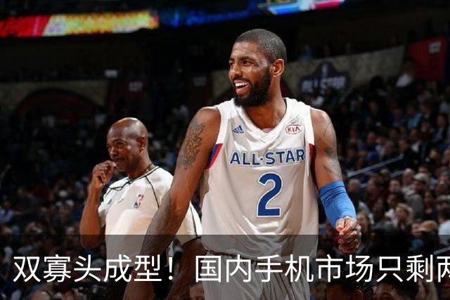 双寡头成型！国内手机市场只剩两大玩家博弈