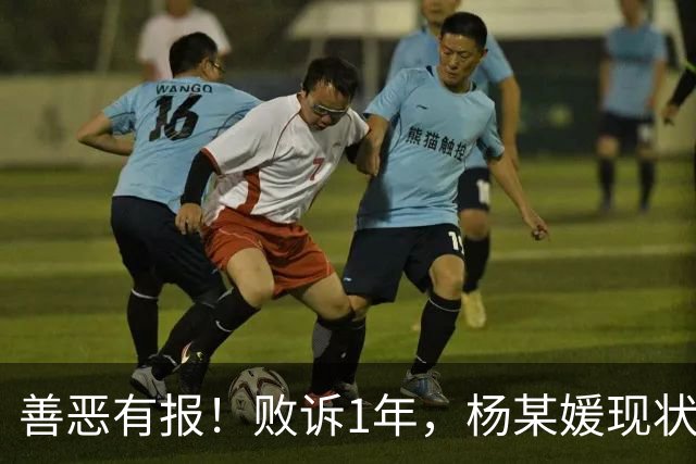 善恶有报！败诉1年，杨某媛现状被扒，再迎2大噩耗，个个戳心窝