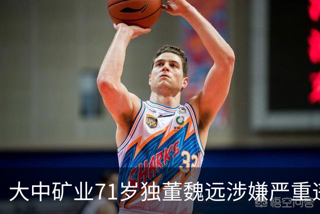 大中矿业71岁独董魏远涉嫌严重违纪违法，接受纪律审查和监察调查