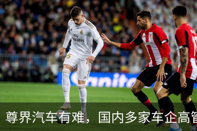 尊界汽车有难，国内多家车企高管“补刀”