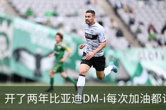 开了两年比亚迪DM-i每次加油都记了账：表显3.8，实际油耗不敢信