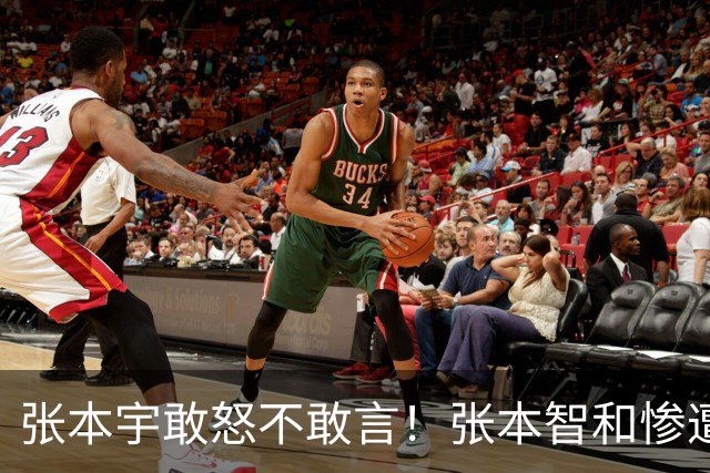 张本宇敢怒不敢言！张本智和惨遭零封出局，暴露日乒致命顽疾！