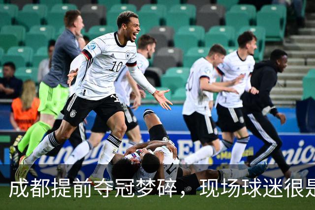 成都提前夺冠梦碎，现场球迷很是不满&大喊让主教练出来
