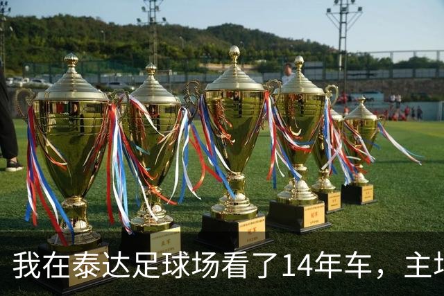 我在泰达足球场看了14年车，主场收官这天我要数清每一辆