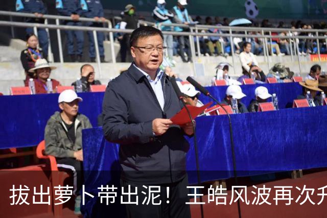 拔出萝卜带出泥！王皓风波再次升级，报警竟意外将半个饭圈拉下水