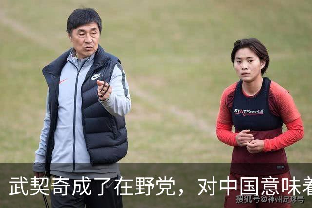 武契奇成了在野党，对中国意味着什么？