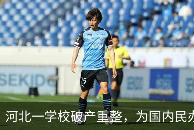 河北一学校破产重整，为国内民办高职规模最大的破产重整案之一