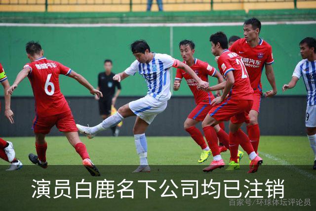 演员白鹿名下公司均已注销