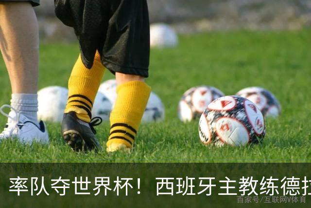 率队夺世界杯！西班牙主教练德拉富恩特获年度最佳主帅