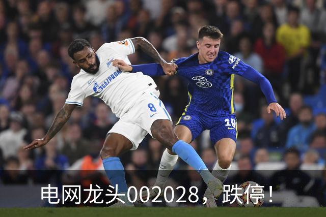 电网龙头002028，跌停！