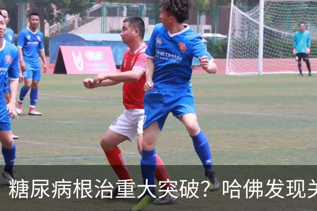 糖尿病根治重大突破？哈佛发现关键基因，可自身长出胰岛素！