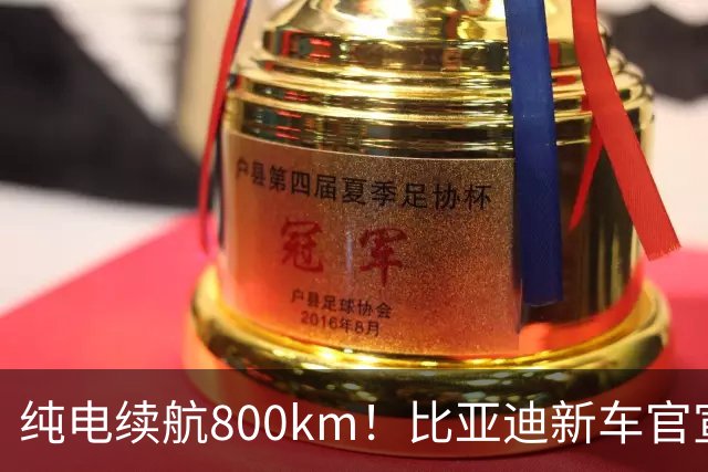 纯电续航800km！比亚迪新车官宣：10月12日继续开卖