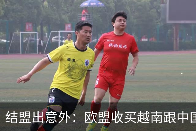 结盟出意外：欧盟收买越南跟中国对着干，没料到越南狮子大开口