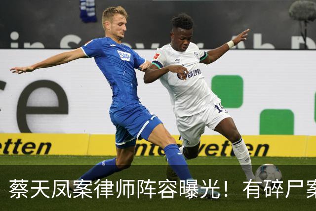 蔡天凤案律师阵容曝光！有碎尸案无罪辩护经验，曾参与60亿洗钱案