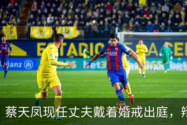 蔡天凤现任丈夫戴着婚戒出庭，辩方律师当场追问：你和亡妻的前夫是不是恋人关系