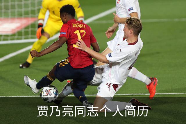 贾乃亮同志个人简历