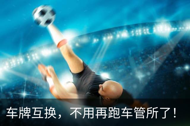 车牌互换，不用再跑车管所了！