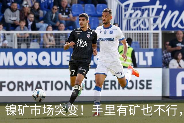 镍矿市场突变！手里有矿也不行，外媒：印尼“抄作业”翻车了！