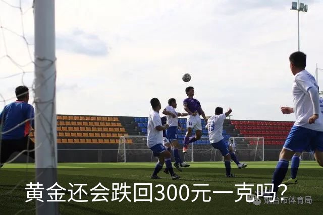 黄金还会跌回300元一克吗？