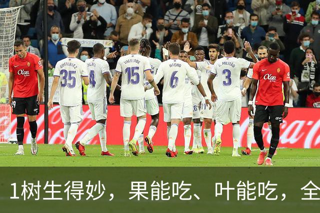1树生得妙，果能吃、叶能吃，全身是宝，小时候却砍来当柴烧