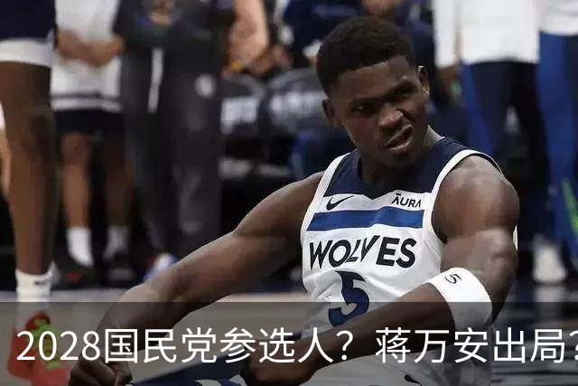 2028国民党参选人？蒋万安出局？一人要和卢秀燕一争高下