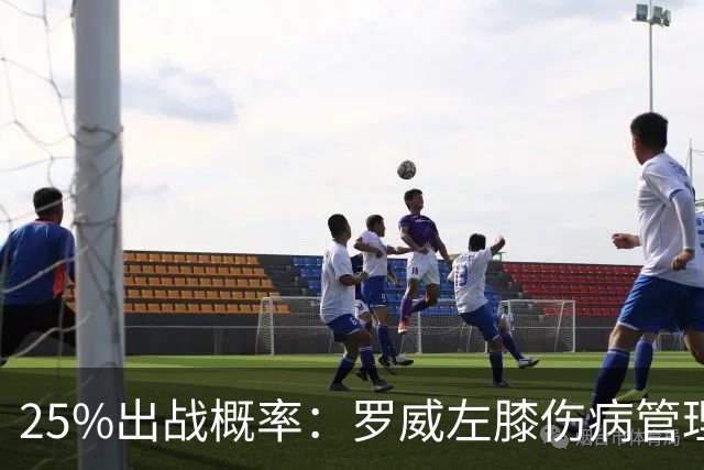 25%出战概率：罗威左膝伤病管理，开拓者主场对灰熊恐缺他