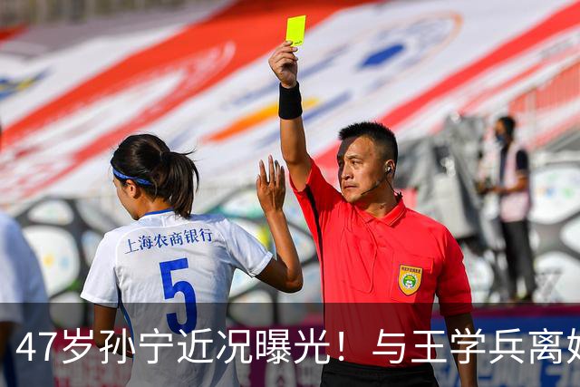 47岁孙宁近况曝光！与王学兵离婚14年，当年婚礼被婆家算计，如今封心锁爱仍单身